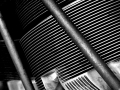20131102_010 bw.jpg