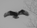 (c)JDodds.--12.jpg