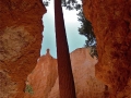 Wall Sstreet, Bryce Canyon National Park, Utah.jpg